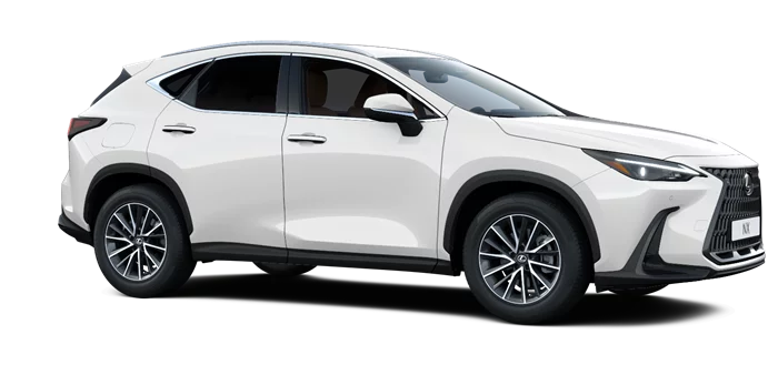 nx