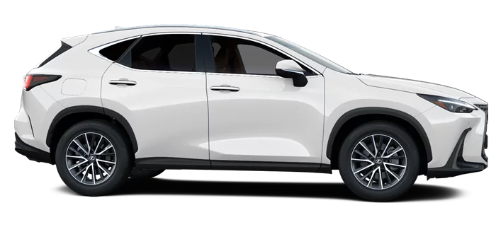 nx