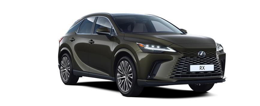 RX Executive Khaki, frame 3