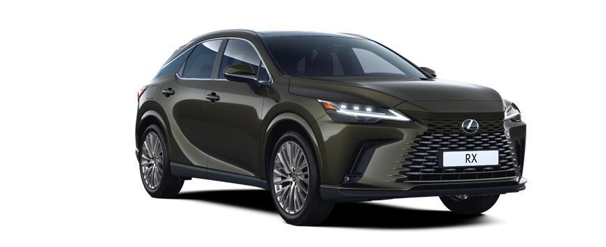 RX Luxury Khaki, frame 3