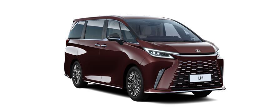 LM Executive Sand Sonic Agate (3U3), frame 3