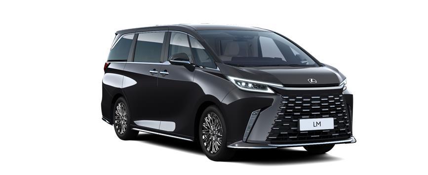 LM Executive Sand Graphite Black (223), frame 3