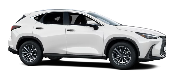 nx