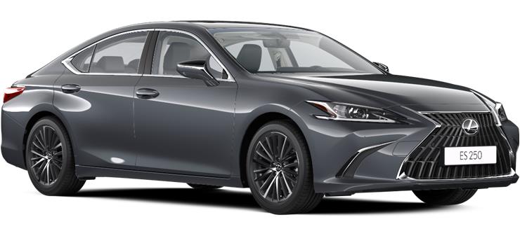  ES 250 Advance 