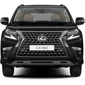 GX 460 Executive 5