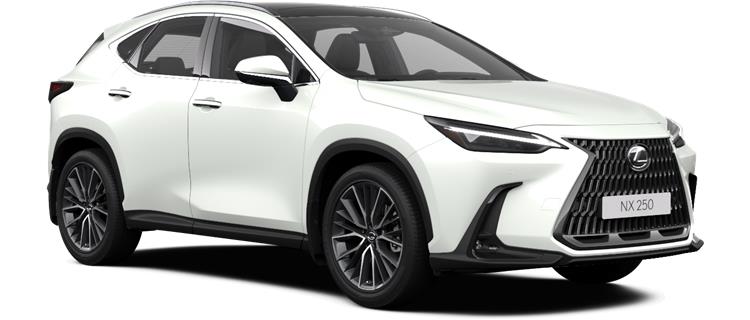NX 250 AWD 5bb71832-2c0d-4942-b3f2-695b4302608f