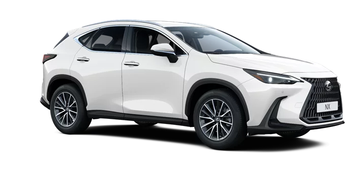 nx