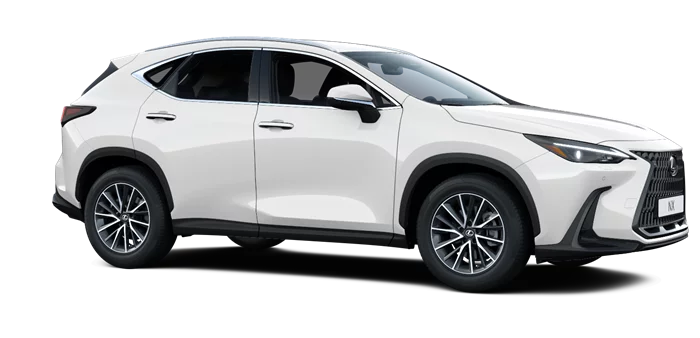 nx