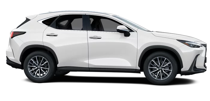 nx