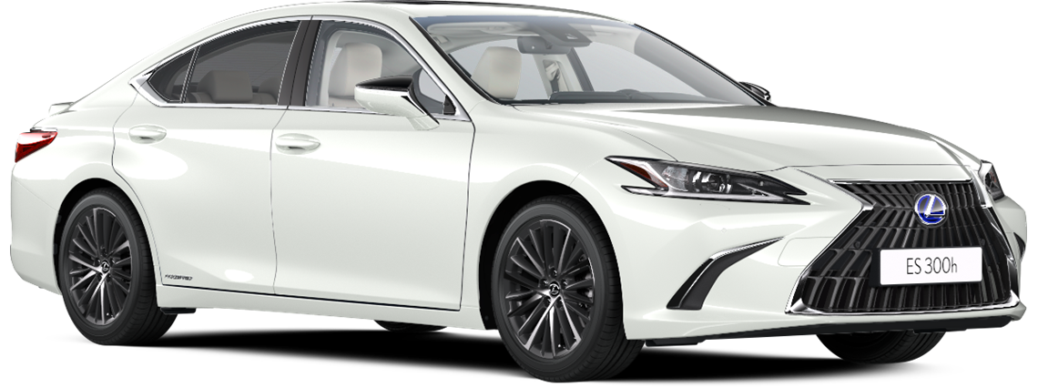 ES 300h
