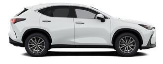 NX Executive
