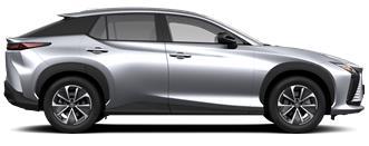 RZ EXECUTIVE