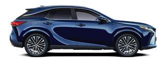 RX PRESTIGE
