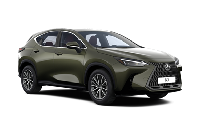NX Business Plus 