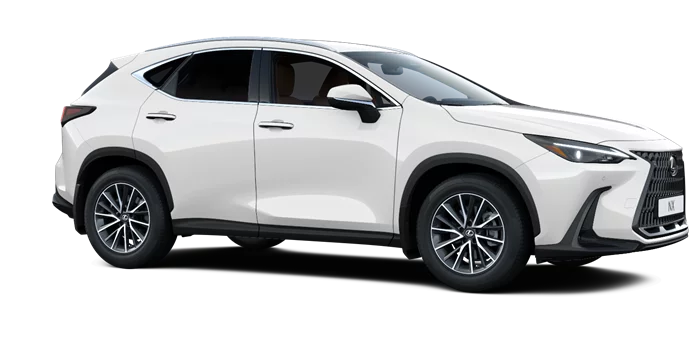 nx