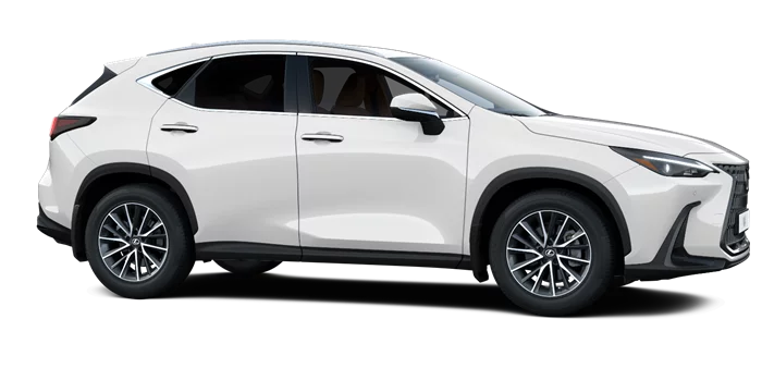 nx