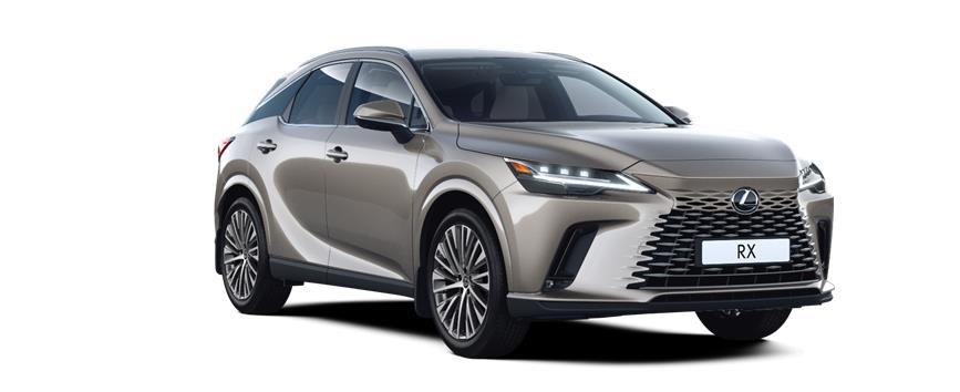 RX Executive Титановий сірий (1J7), frame 3