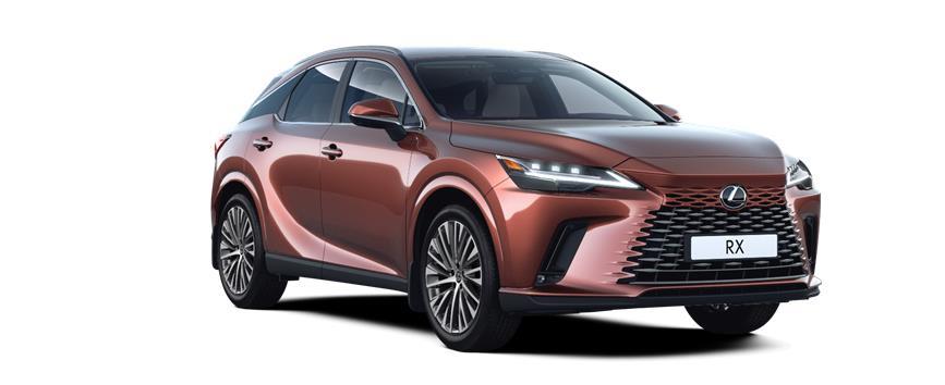 RX Executive Мідний (4Y5), frame 3