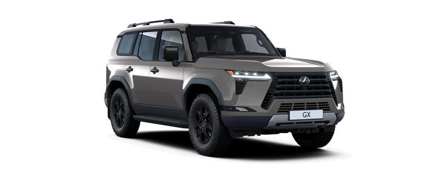 Новий GX Overtrail Карбідовий сірий (1L8), frame 3