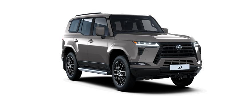 Новий GX Executive Карбідовий сірий (1L8), frame 3