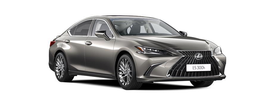 ES Luxury Титановий сірий (1J7), frame 3