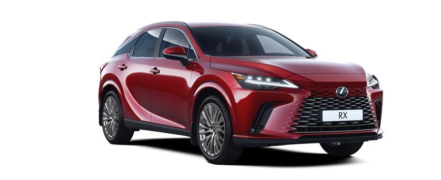 RX Luxury Вишнево-червоний (3R1), frame 3