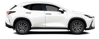 NX Executive