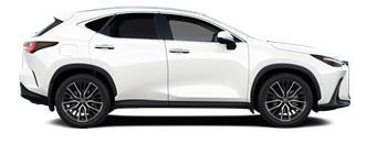 NX Luxury