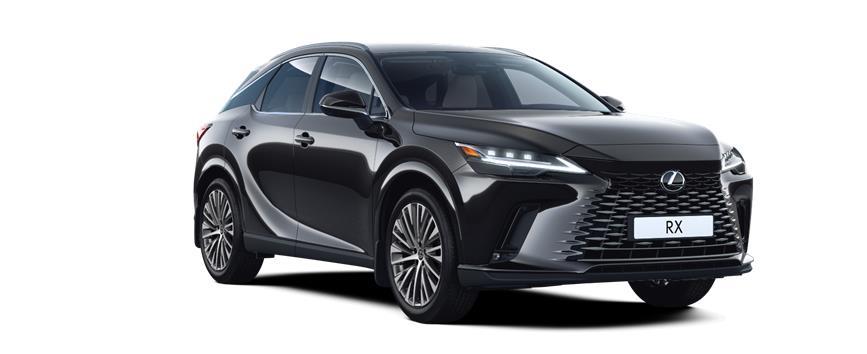 RX Premium Чорний графіт (223), frame 3